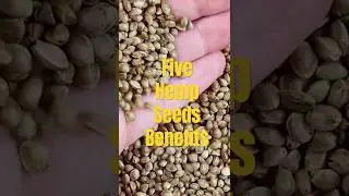 Hemp Seeds Benefits And How To Eat Them #shorts #food