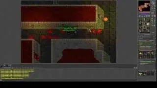 Tibia Dark Cathedral hunt