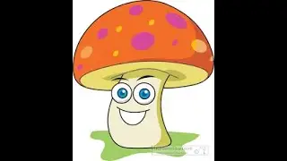 How to run Mushroom Bypass