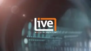 Highlight Video Momentum 2020