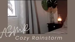Cozy Rainstorm in Barbados - ASMR ( 50 min)