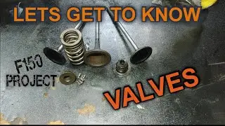 What Are Valves