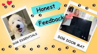 BEQHAUSE Dog Low Profile Door Mat Product Review