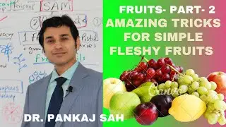 FRUITS - PART 2 (Simple- Fleshy and Dry Fruits) Learn & Memorize in 8 Minutes