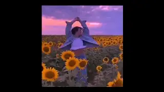 summer mood