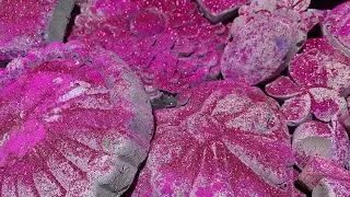 Pinkish glitter on dusty explosure 🩷🩷do subscribe #asmr 