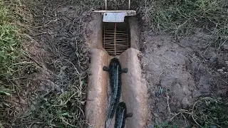 Amazing Skills Trap fish | How to create traps fish using Knife