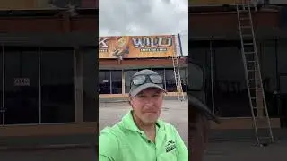 Stay Tuned for Some Buck Wild Christmas Lights in Webster TX - Dependable Holiday Lights & Decor