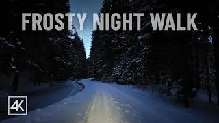 Deep Freeze Evening Walk | Crunchy Snow Sounds | 4K
