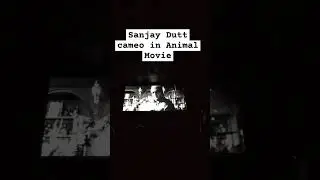 Sanjay Dutt Cameo in Animal Movie #animal #ranbirkapoor #animalmovie Animal Review