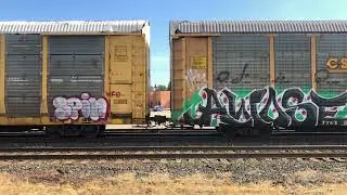 FREIGHT TRAIN GRAFFITI BENCH #188