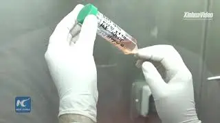 CoronaVac trials in Chile provide technical, scientific and clinical support