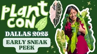 Dallas PlantCon 2025 Vlog: Setting Up Our Booth + Sneak Peek!