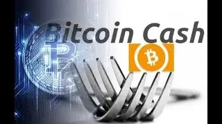 Bitcoin Cash Hard Fork _  Hashwar Continues, ABC and SV Remain At Odds