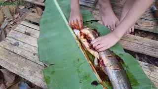 Beautiful Girl Daily  Catch Fish by Frog Trap and Cooking Fish in Home with Father very Delicious