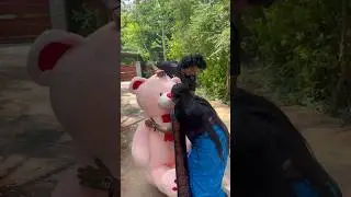 Thakkali ku surprise🥹❤️ #heartthrottlers #trending #surprise ￼