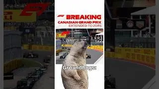 Poor groundhogs 😭 #formula1 #f1memes #f1meme #canadiangp #montreal #f1jokes #f1shorts #f1