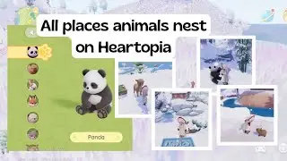 HEARTOPIA ANIMALS CARE! ALL ANIMALS NEST LOCATIONS. 