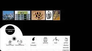 A Comparative Study on Material-based Computational Design