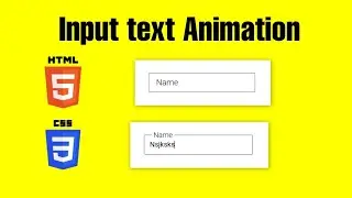 Input text animation with CSS