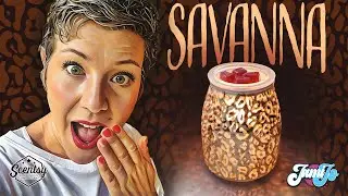 Scentsy Savanna Warmer | Warmer Showcase | Jami Jo Sells Wax