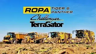 +2000 ch &agrave; l'arrachage de Betteraves 2018 - Ropa Tiger 6 & Panther