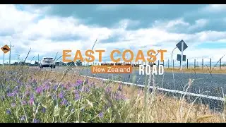 East Coast Road | New Zealand Road Trip | Traveller