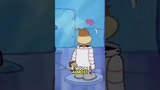 Sandy Cheeks&rsquo; Top 5 Most Fearless Moments #spongebobsquarepants #sandycheeks #spongebobshorts