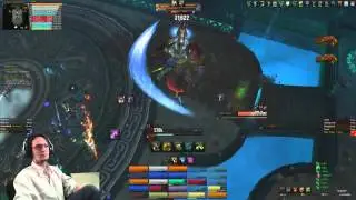Flawless Bear Dance