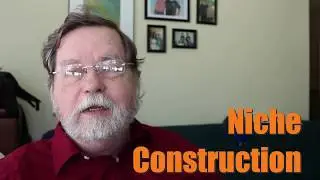 Niche Construction