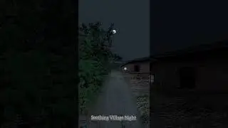 Village Night Sounds, Nature sounds, Cricket Sound #shorts
