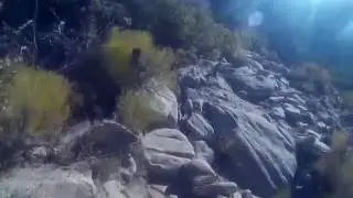 Solo hike in IceBox Canyon Trail in Red Rock Canyon - Part I