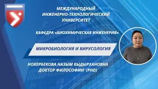 Курс 