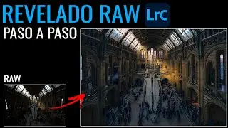 Revelado PASO a PASO de un RAW en Lightroom 2024