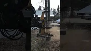 Unstoppable forest cutter! #heavyequipment #work #sound #logging #machinery #logger #fast