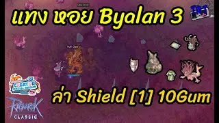 RO GGT Classic #Crusader แทง หอย ที่ Byalan 3 10Gum ล่า Shield [1]