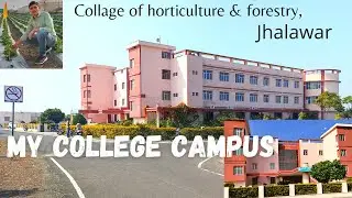 College Of Horticulture & Forestry, jhalawar।। ch&f jhalawar ।। my college campus🌱🔥।। #college #vlog