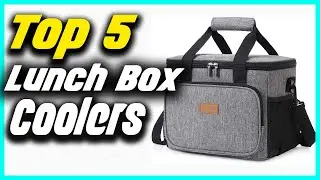 ✅The Top 5 Best Lunch Box Coolers Review 2022