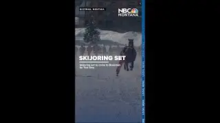 Skijoring set to come to Bozeman for first time