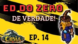 Adiantamos essa task enorme kkkk - Druid FREE ACCOUNT do 0 ao 100 (Ep. 14) | Tibia
