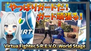 【Virtua Fighter 5 R.E.V.O. WS】ちょっとずつ成長してる！ランクマ、たまに勝つよ！　22時〜ルムマ：誰でも歓迎！2026/1/29