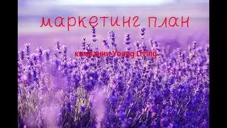 Маркетинг план компании Young Living