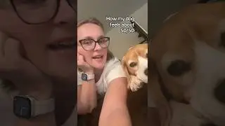 #5050 #5050dating #datinghumor #beagle