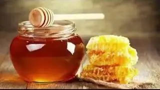 Expofinca la miel de la vida