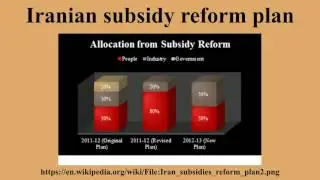 Iranian subsidy reform plan