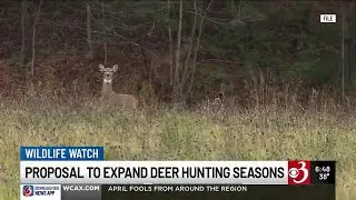 Vermont wildlife officials push for expanded deer hunting seasons