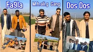 Fa9lla / m.h.ali.g / gang