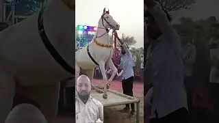 Kya khel dikha raha h ghoda #dj #song #horse #dance #horse #horsetrack #horsetrancedance #funny
