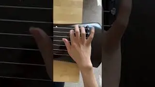 chinese chicken (a bad jazz bass joke) #jacopastorius #guqin