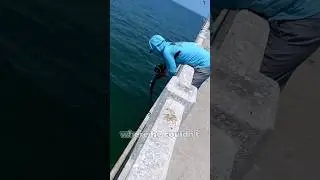 #рыбалка #шорты #знания